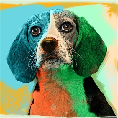 Expressive Pop Art Dog Portrait with Modern Look,by myDaVinci - myDaVinci